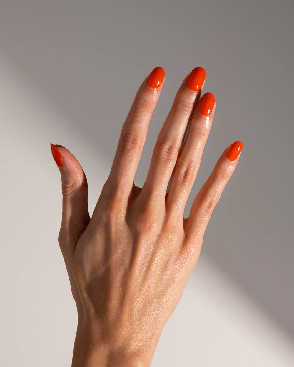 Nails Bundle