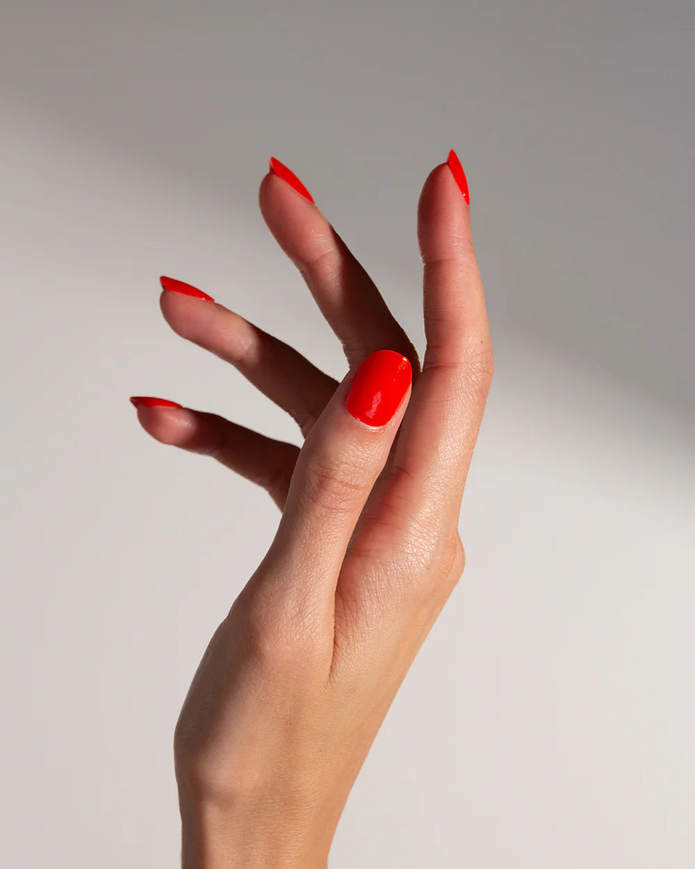 Nails Bundle
