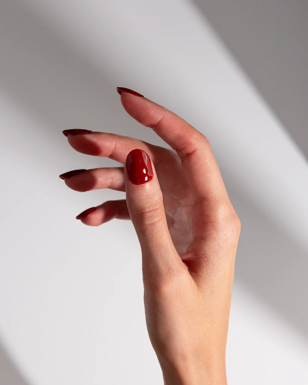 Nails Bundle