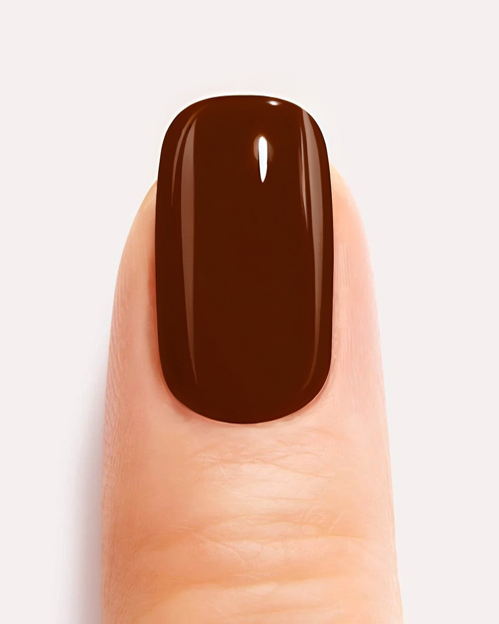 Premium Gel Nails Bundle