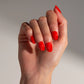 Nails Bundle