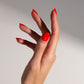 Nails Bundle