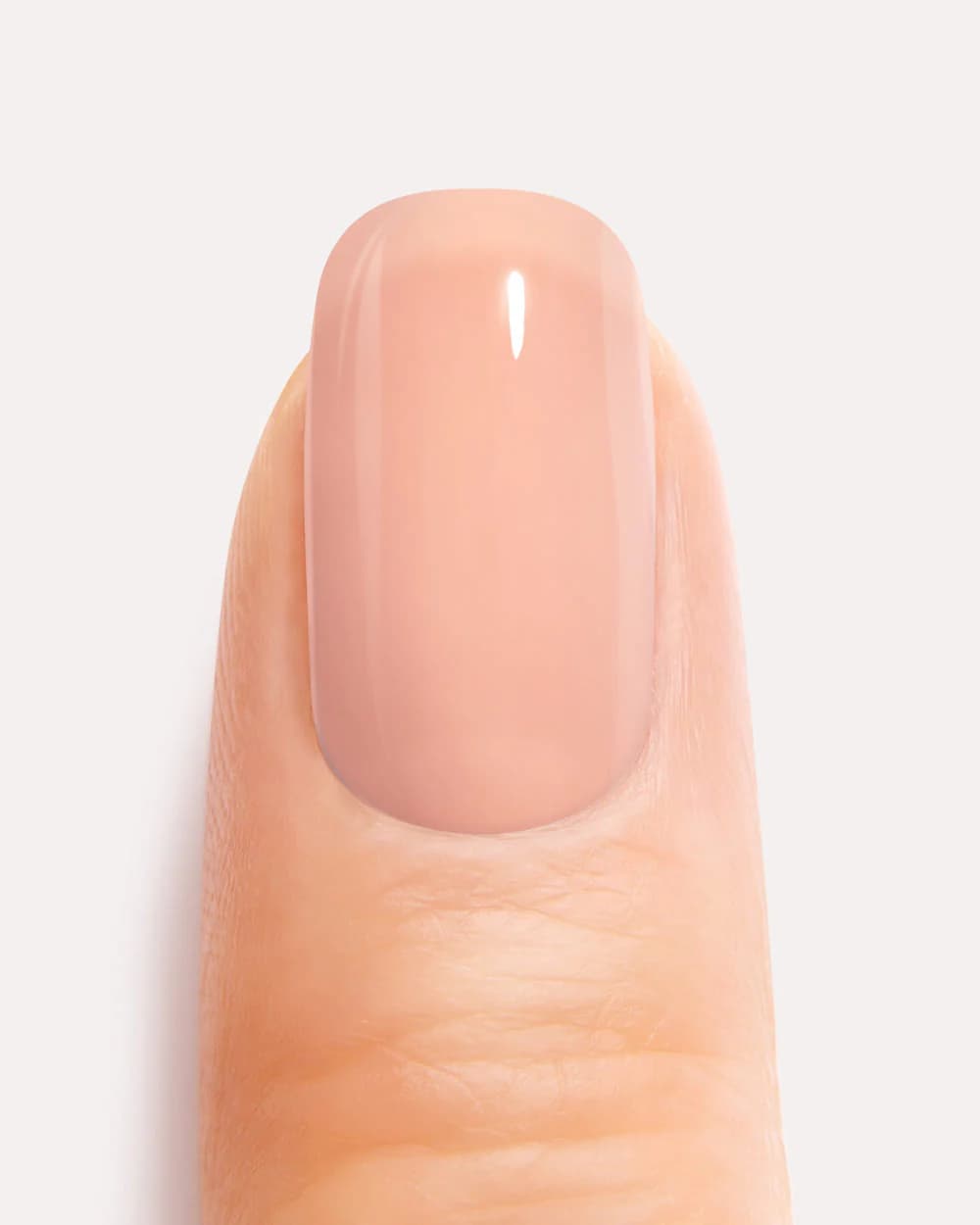 Premium Gel Nails Bundle