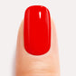 Nails Bundle